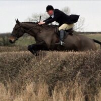 matthew wright (@mw1011) 's Twitter Profile