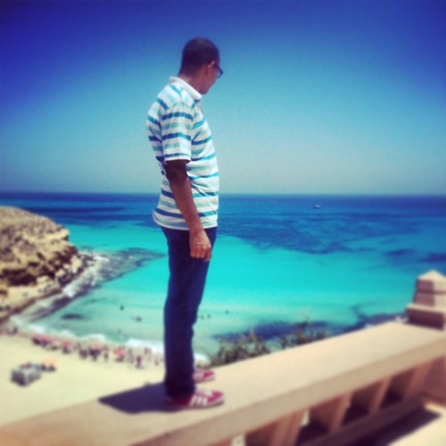 MohamedMo3temed's profile picture. 