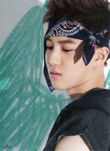 jonessquad! angel kim joon myeon here in duty to protect exotics! xoxo