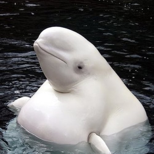 Greasy_Fart's profile picture. This is my bio