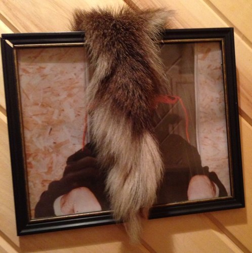 JebBallfree's profile picture. 