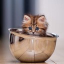 Natalie Chua - @NatalieTan123 - Twitter