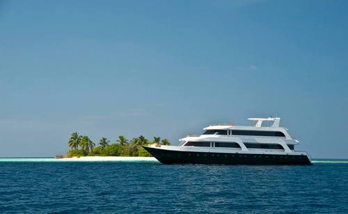 MV Leo (Formerly Ark Royal) is part of the Constellation Fleet Maldives. A 35m Liveaboard  in the Maldives, join us for great diving and a great time.