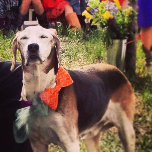 IAmGusHenry's profile picture. i AM Gus Henry. i was a puppet of a man, driving east in a silver impala... my mama says live everyday like it's sharKweeK. and to be clear, i’m dead.      🌈☄️