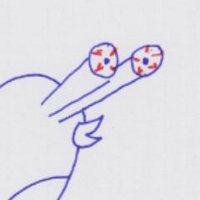 Maybe: Seva Granik (@sevagranik) 's Twitter Profile Photo