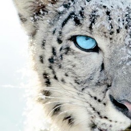 raquelbelmontte's profile picture. 