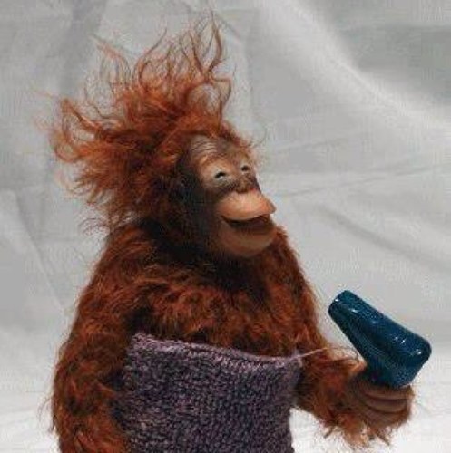 flowmamabuck's profile picture. 