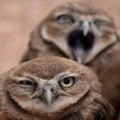 VegaStephen17's profile picture. 