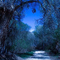 RicardoAnabella's profile picture. Anabella Ricardo: http://t.co/7EQqfDpOvk