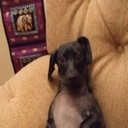 Meagan Pearson - @MeaganPearson9 - Twitter