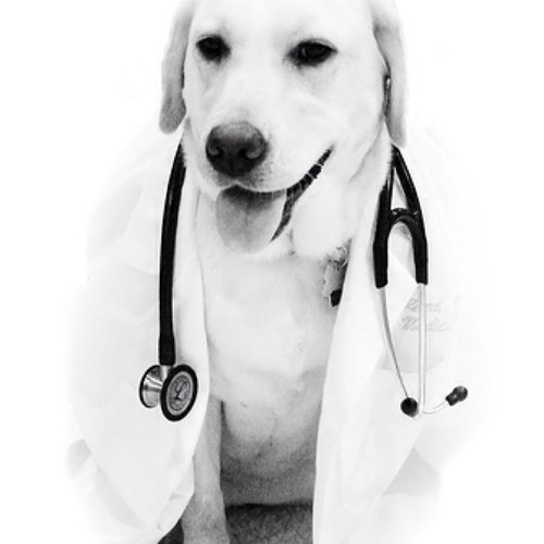 FutureMedDegree's profile picture. 