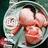 BGFoodfactory's profile image