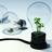 EcologicPolitic's profile image