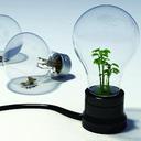 Adrian MacKay - @EcologicPolitic - Twitter