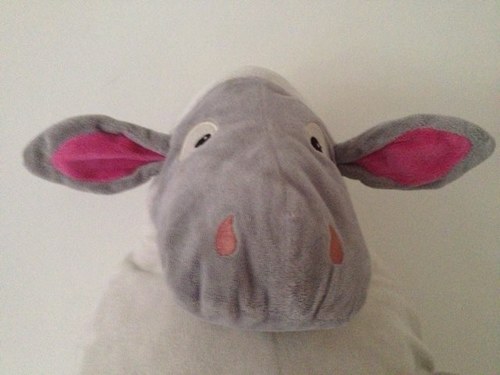 TheMrSheep Profile Picture