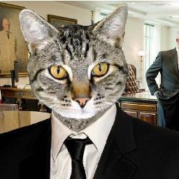 FelixCat18's profile picture. Yes, I'm serious.