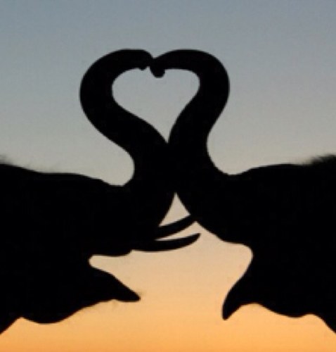 ▂ ▄ ▅ ▆ ▇ █ LOVE █ ▇ ▆ ▅ ▄ ▂