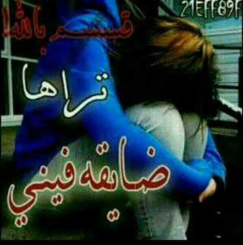 فراشه الامل