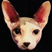 KAFKA (@kafkaisfamous) 's Twitter Profile Photo KAFKA (@kafkaisfamous) 's Twitter Profile Photo