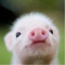 reece watson - @reecewatson54 - Twitter