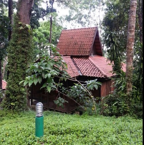 sa201179's profile picture. 