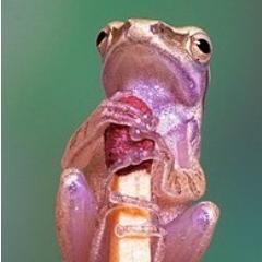 LydiaV122's profile picture. 