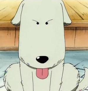 AlOirElJaleillo's profile picture. Guau Guau Guau... Guau? #SpanishFakeOnePiece