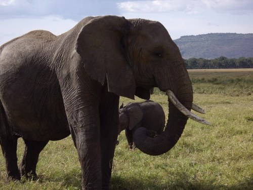 kikcdp's profile picture. 