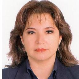Docente Principal UNSA