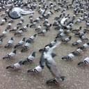 з'ɑιɑ (@001Ghala) Twitter