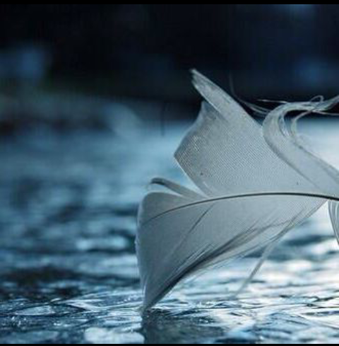 shakhah08's profile picture. عضو هيئة تدريس #جامعة_الطائف .. دكتوراه #جامعة_الملك_سعود.. وكيلة الكلية الجامعية برنيه