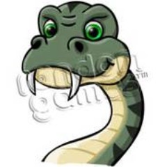 Snakes are AMAZING