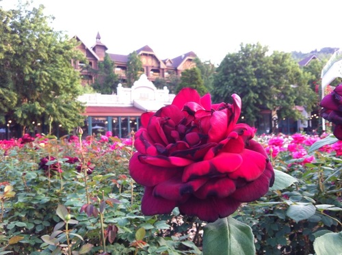 soonjung06's profile picture. https://t.co/5rUSDruIKH