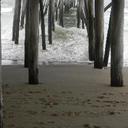 Angela Epps - @Snowangelmom - Twitter