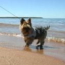 Barbara Dotson - @BarbaraDotson8 - Twitter