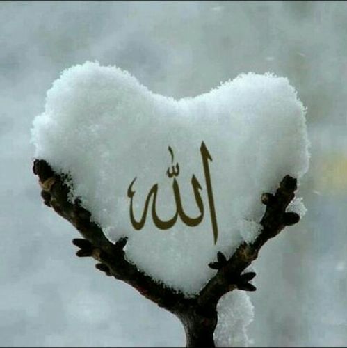 jooryh2008's profile picture. وماتوفيقي إلا بالله ..