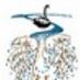 Derbarl Yerrigan (@derbarlyerrigan) Twitter profile photo Derbarl Yerrigan (@derbarlyerrigan) Twitter profile photo