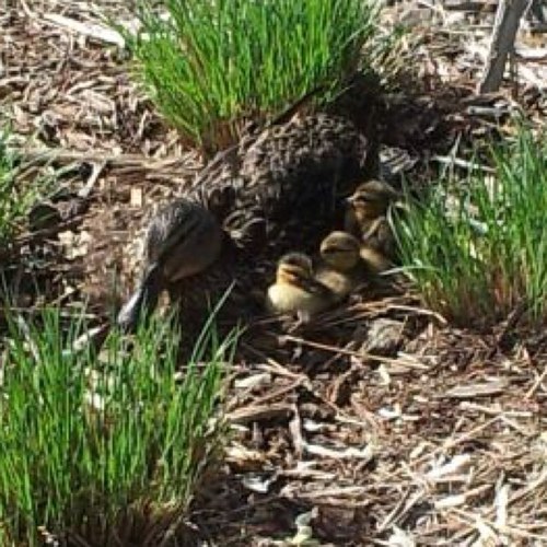 sroneill14's profile picture. 