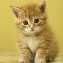 dalia rosa quintero - @ramonaester - Twitter