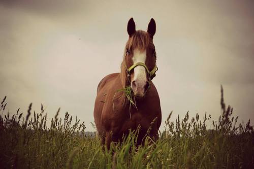 I have made this twitter account in hopes to learn more about photography, I am 15-years-old and photography is my life, please help to make my dreams come true