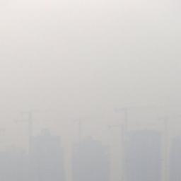 Singapore_HAZE Profile Picture