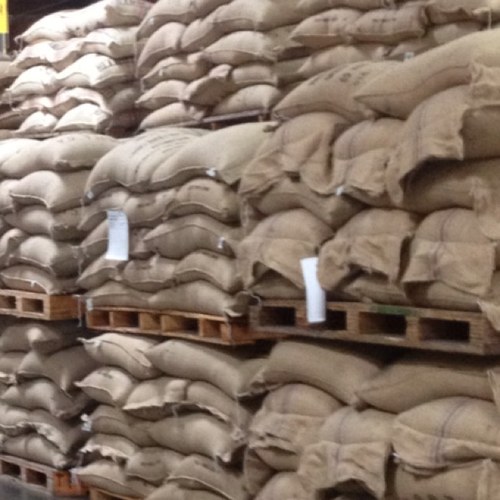 Bringing the best specialty coffee from Ethiopia