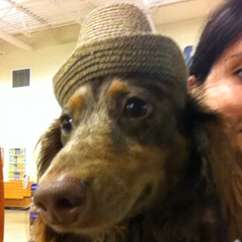 AnneQuinnsea's profile picture. Mother of Annie and Tara.