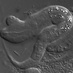 Caenor Elegans (@caenorelegans) Twitter profile photo