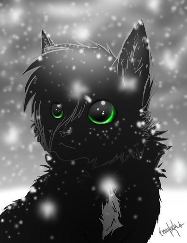 XRavenpaw's profile picture. Um... Hi! I'm Ravenpaw. Has anyone seen Barley?
((A silly little warriors RP account ^-^ be warned I'm probably not that good ///))