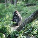 Frank Tabares - @Tabares0 - Twitter