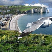 Moussa  Wague (@moussawag) 's Twitter Profile