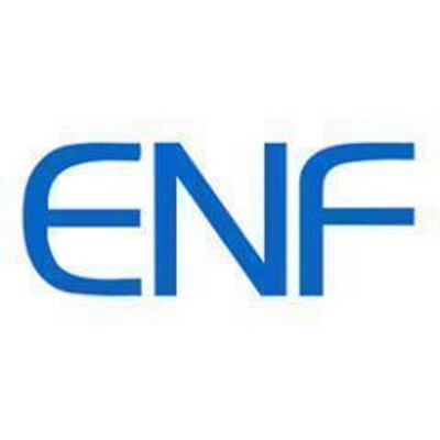 ENF Solar enfsolar X