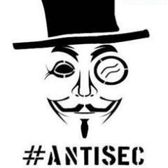 Anti-Security Brazilian Team