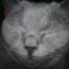 Nikasoledad's profile picture. 💗👽